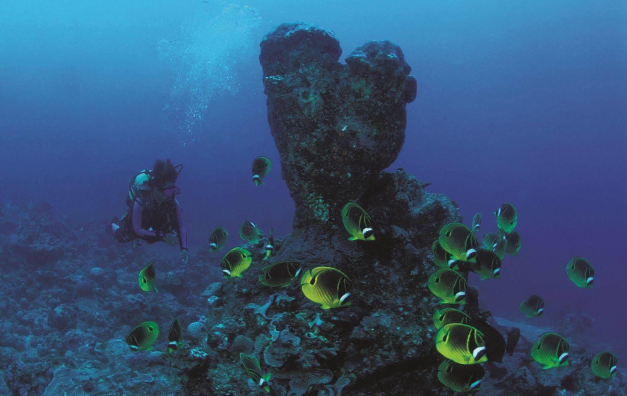 Reve Des Iles Guesthouse Gravier Bagian luar foto